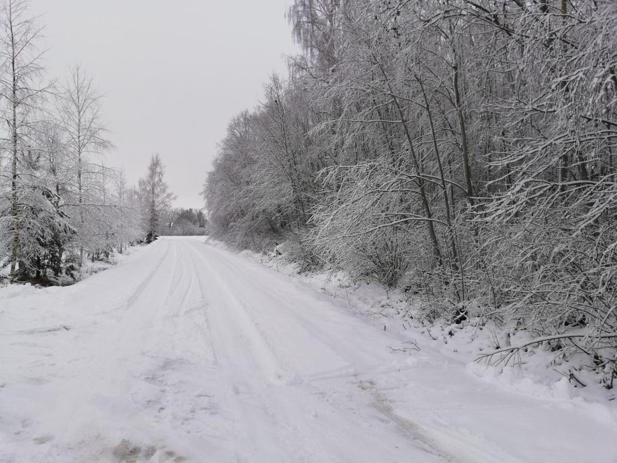 Perkonu Namins Villa Balvi Exteriör bild