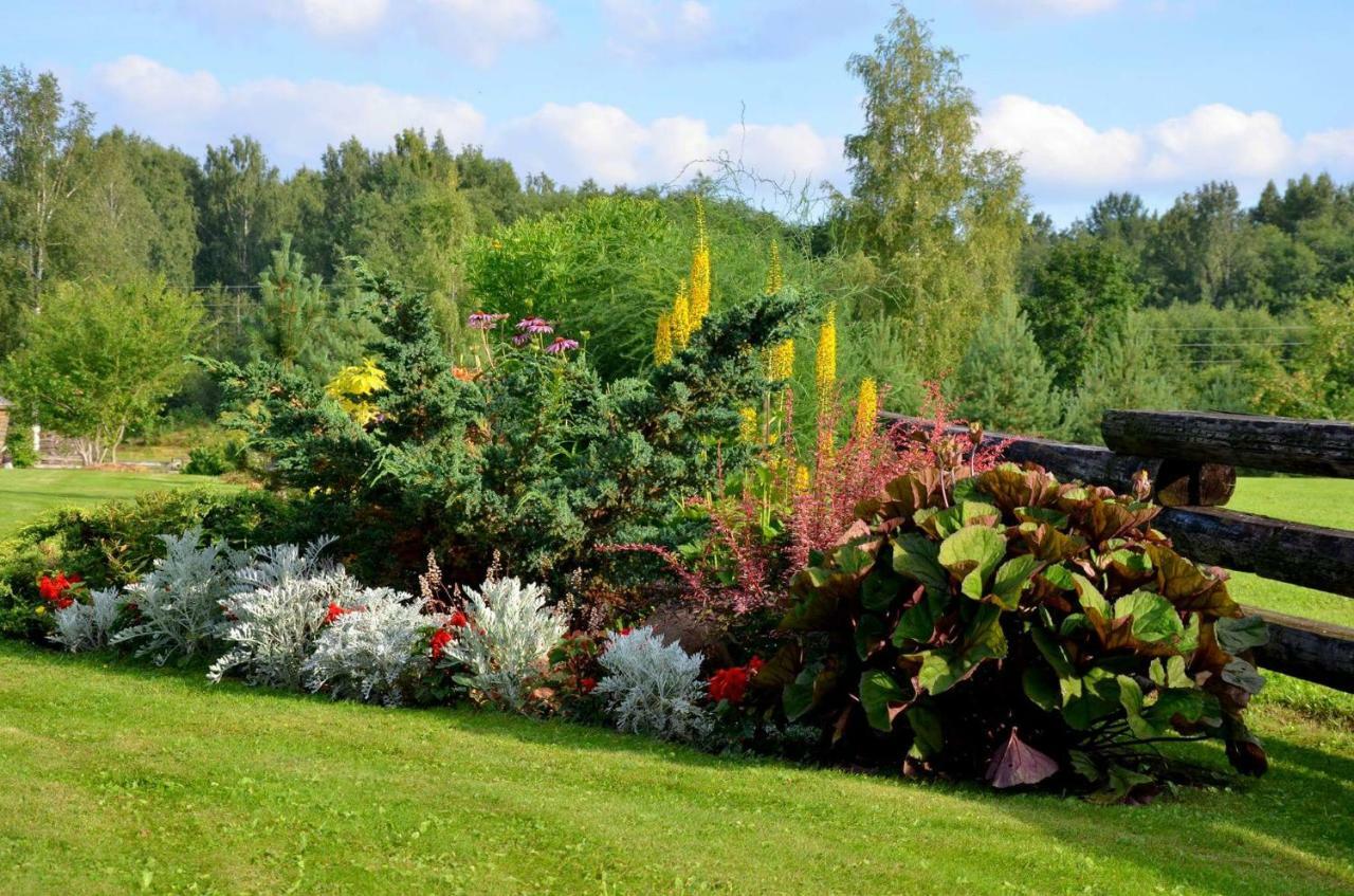 Perkonu Namins Villa Balvi Exteriör bild